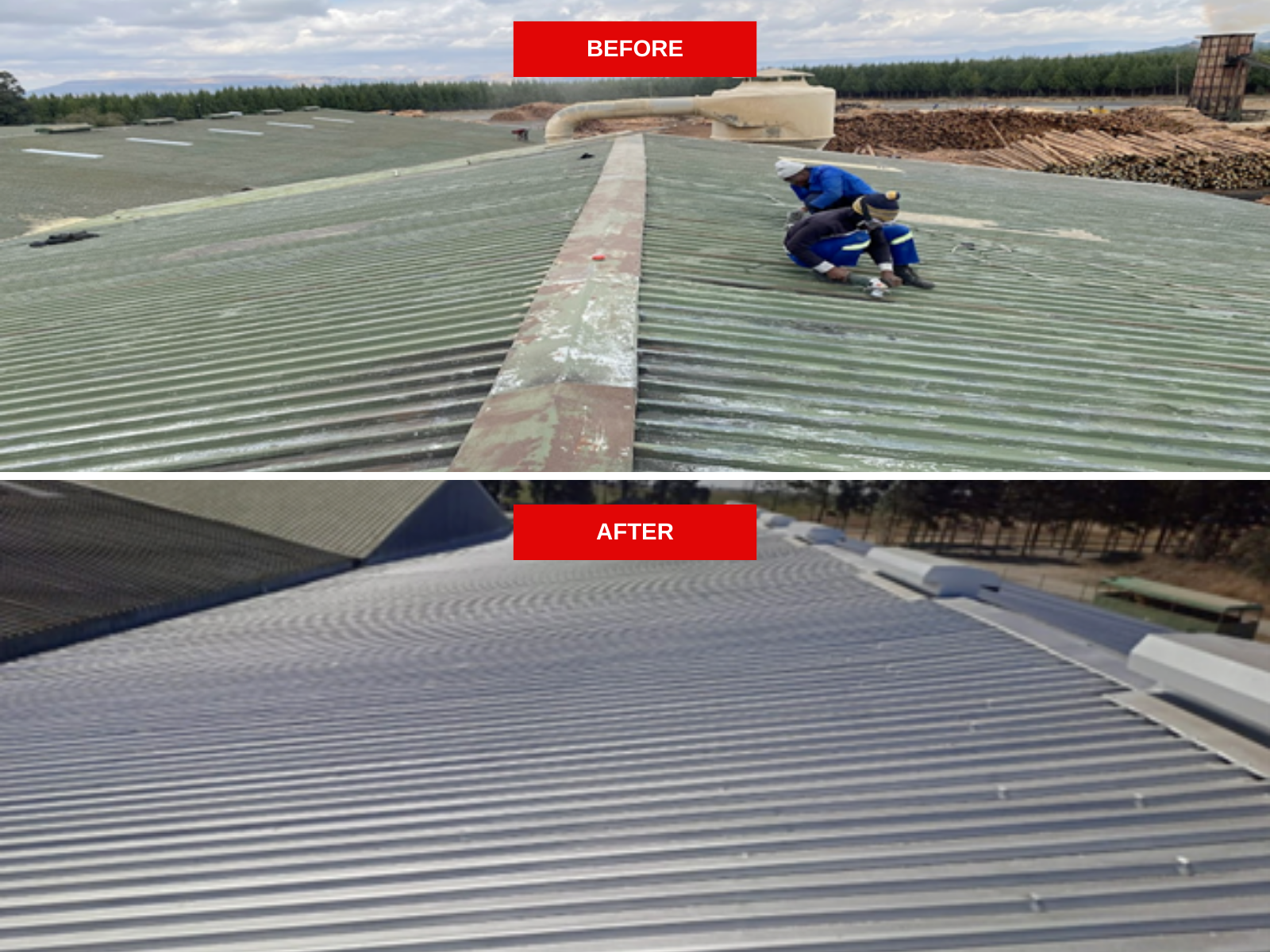Normandien Sawmill, Newcastle, KZN - 3050m2 industrial roof painting project.